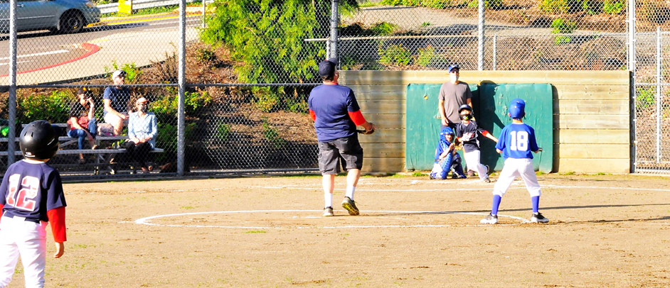 Baseball in the Sunshine